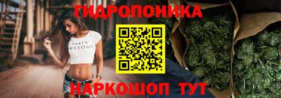 СК Пугачёв