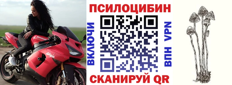Галлюциногенные грибы GOLDEN TEACHER закладки Пенза