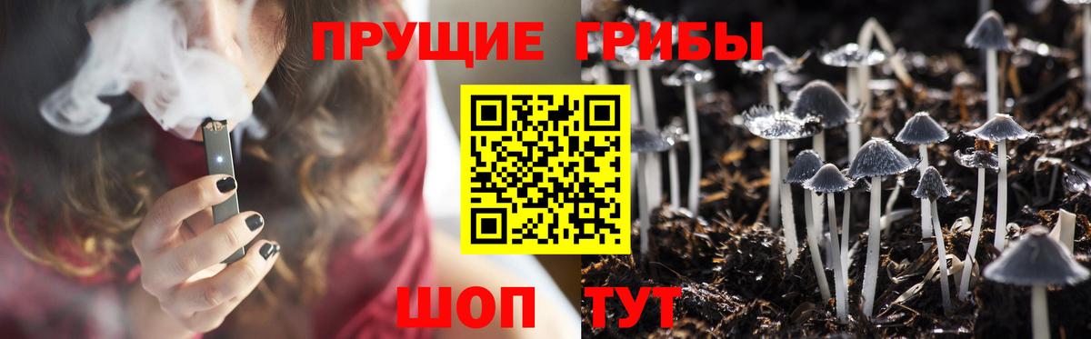 Пенза  Галлюциногенные грибы GOLDEN TEACHER  Вход с VPN  Псилоцибиновые грибы Psilocybine cubensis 