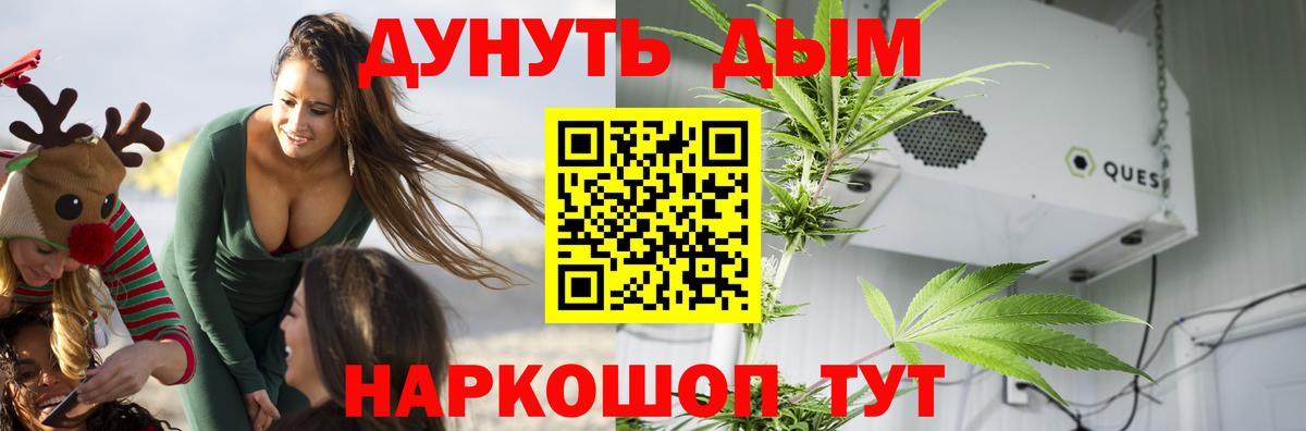 Бошки марихуана ГИДРОПОН Пенза